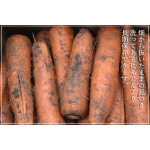 [有機栽培]【土つき】春掘りジュース用にんじん(３ｋｇ)《シーズン外商品》