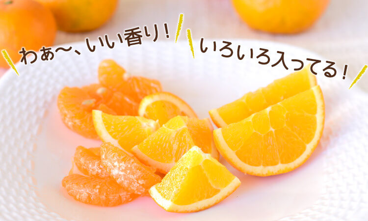 旬の柑橘がいろいろ入った、楽しい食べ比べセット