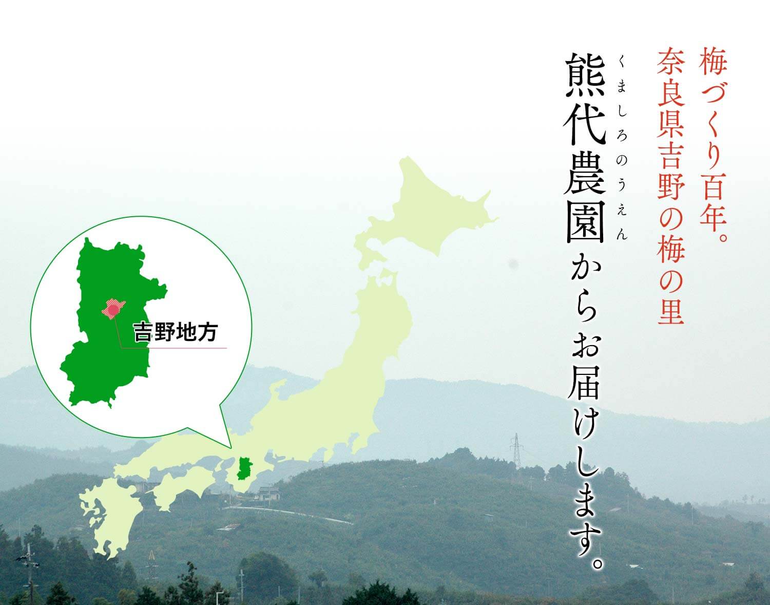 梅づくり百年。奈良県吉野の梅の里、熊代農園からお届けします。