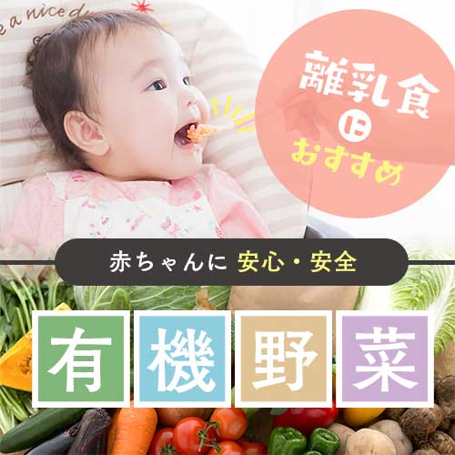 離乳食におすすめ！赤ちゃんに安心・安全な有機野菜