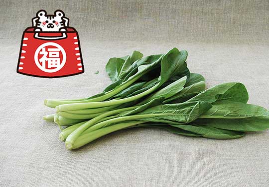 [有機栽培] 小松菜(200g×10束)