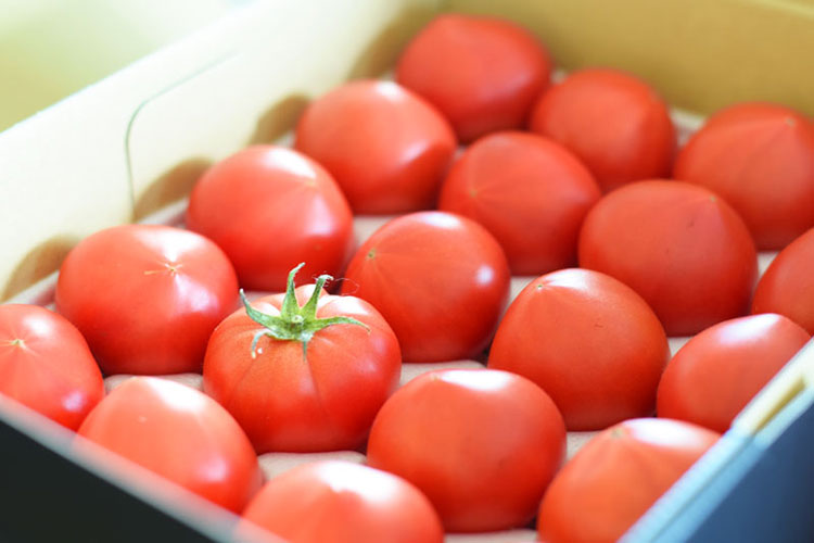 [有機栽培] トマト大箱(4kg箱満載)