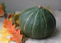 [有機栽培] かぼちゃ (約10kg 　4-7玉)