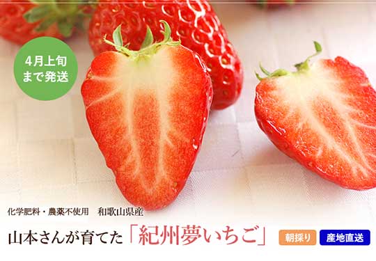 [有機栽培] 紀州夢いちご　270g (9〜18粒）× ２パック