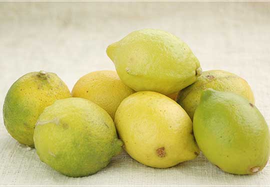 国産とくべつ栽培レモン