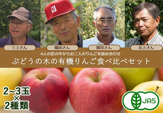 [有機栽培] 有機りんご食べ比べセット（4〜6個)