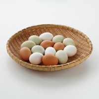 【産地直送】平飼い　碧い瞳のラピィスの卵 (30個)