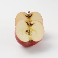 [有機栽培]和楽堂養生農苑さんの訳ありりんご (約4kg)《シーズン外商品》