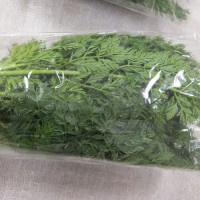 [有機栽培] 葉っぱつきにんじん (400g)《シーズン外商品》