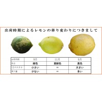 [有機栽培] レモン (1kg)≪シーズン外商品≫