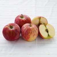 夏りんご　シナノリップ（5kg）［信州の環境にやさしい農産物30取得］≪シーズン外商品≫