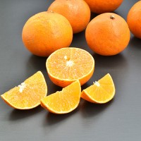 [有機栽培] マドンナオレンジ (1kg)《シーズン外商品》