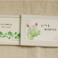 有機野菜のギフトカード【選りすぐり】