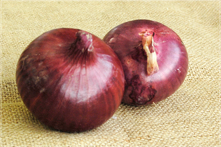 有機栽培] 赤玉ねぎ(400g)の販売・通販 - 有機野菜の宅配 ぶどうの木
