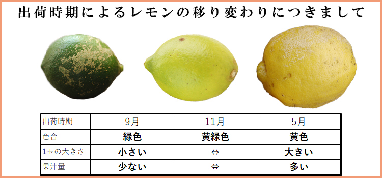 特別栽培 レモン(1kg)