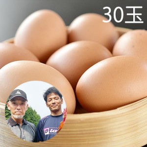 【産地直送】平飼い飛鳥の卵 (30個)