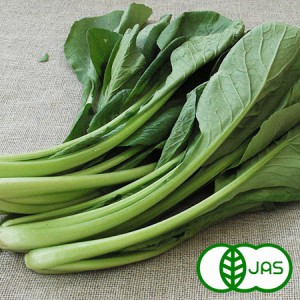 [有機栽培]小松菜(200g)