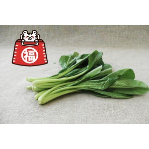 [有機栽培] 小松菜(200g×10束)