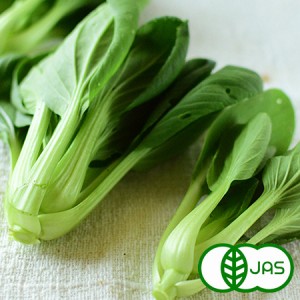 [有機栽培] ミニチンゲン菜 (150g)