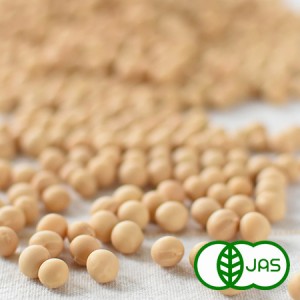 [有機栽培] 白大豆（300g）《シーズン外商品》