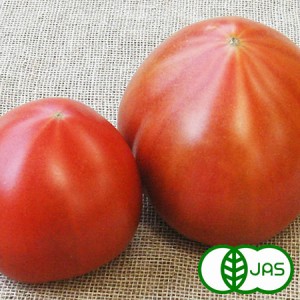 [有機栽培] トマト（300g)