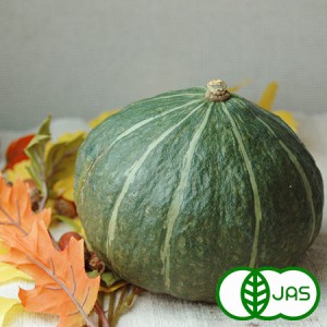 [有機栽培] かぼちゃ(１玉)《シーズン外商品》