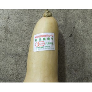 [有機栽培] バターナッツ(約600g)《シーズン外商品》