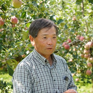 [有機栽培] 北上農園のりんご (2～3玉)