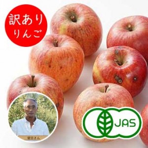 [有機栽培]和楽堂養生農苑さんの訳ありりんご (2～3個)《シーズン外商品》