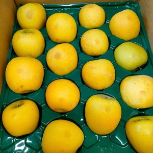 [有機栽培]和楽堂養生農苑さんの訳ありりんご (約2kg)　