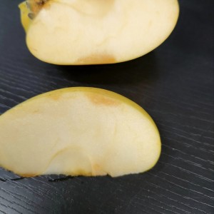 [有機栽培]和楽堂養生農苑さんの訳ありりんご (約2kg)　