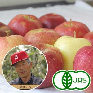 [有機栽培] 福田さんのりんご（2～3玉）《シーズン外商品》
