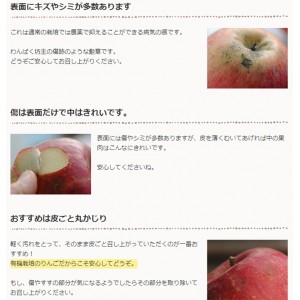 [有機栽培] 福田さんのりんご（2～3玉）《シーズン外商品》