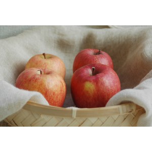[有機栽培] 三上さんのりんご（2～3玉)《シーズン外商品》
