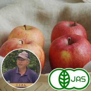[有機栽培] 三上さんのりんご（2～3玉)《シーズン外商品》