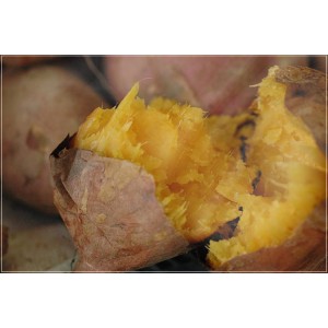 [有機栽培] 安納芋 (500g)《シーズン外商品》