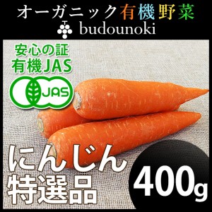 [有機栽培] にんじん特選品 (400g)