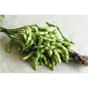 [有機栽培] 枝豆 (200g)《シーズン外商品》