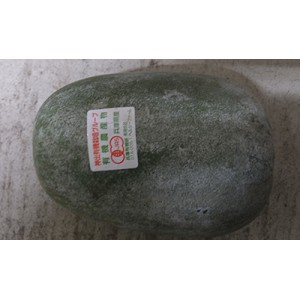 有機栽培 ミニ冬瓜 の販売 通販 有機野菜のぶどうの木