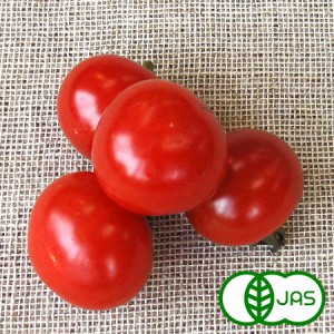 [有機栽培] ミニトマト (100g)