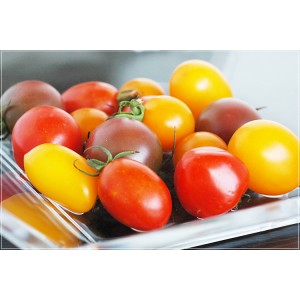 [有機栽培]カラフルミニトマト（150g）《シーズン外商品》