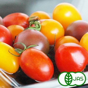 [有機栽培]カラフルミニトマト（150g）《シーズン外商品》