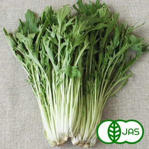 [有機栽培]水菜(150g)