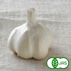 [有機栽培] にんにく (130g)《シーズン外商品》 