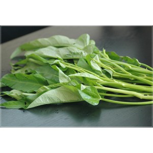 [有機栽培] エンサイ-空心菜- (120g)《シーズン外商品》