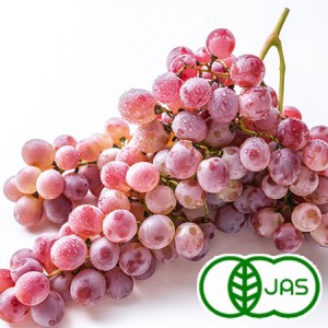 [有機栽培] 甲州ぶどう（2kg）6～7房【10月～11月にお届け】《シーズン外商品》