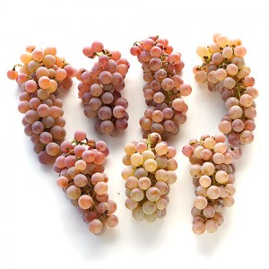 [有機栽培] 甲州ぶどう（2kg）6～7房【10月～11月にお届け】《シーズン外商品》
