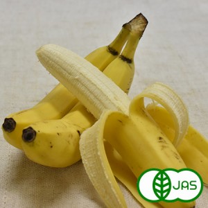 [有機栽培]バナナ(600g)