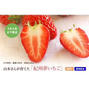 [有機栽培] 紀州夢いちご　270g (9～18粒）× ２パック　《シーズン外商品》