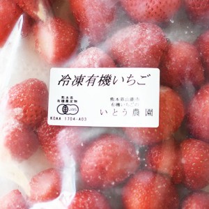 [有機栽培] 冷凍いちご　恋みのり・ゆうべに 熊本県産(約1kg)《シーズン外商品》